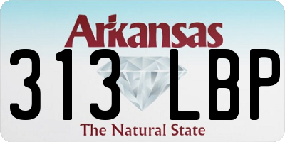AR license plate 313LBP