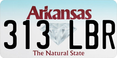 AR license plate 313LBR