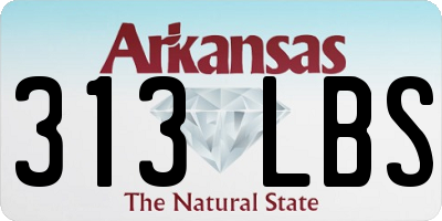 AR license plate 313LBS