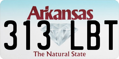 AR license plate 313LBT