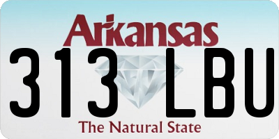 AR license plate 313LBU