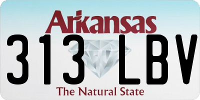 AR license plate 313LBV