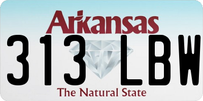 AR license plate 313LBW