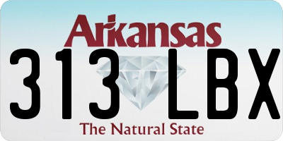 AR license plate 313LBX