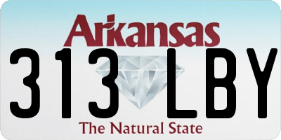 AR license plate 313LBY