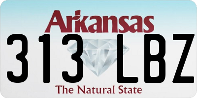AR license plate 313LBZ