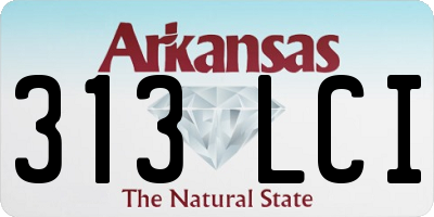 AR license plate 313LCI