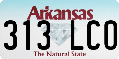 AR license plate 313LCO