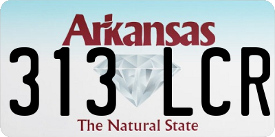 AR license plate 313LCR