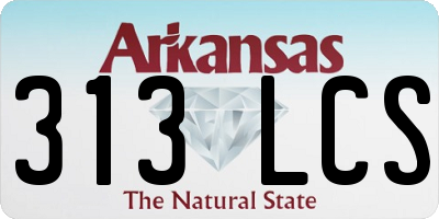 AR license plate 313LCS