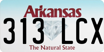 AR license plate 313LCX