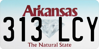 AR license plate 313LCY