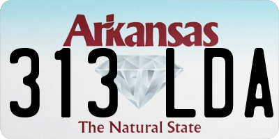 AR license plate 313LDA