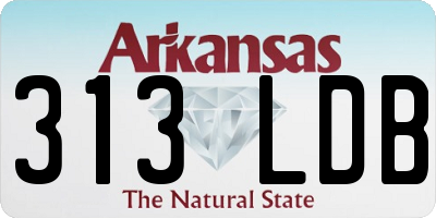 AR license plate 313LDB