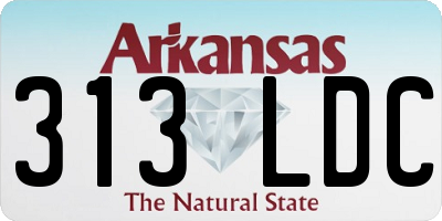 AR license plate 313LDC