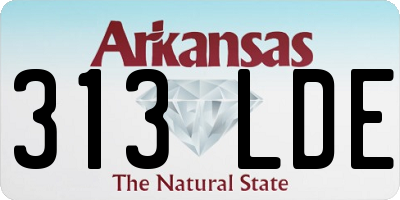 AR license plate 313LDE