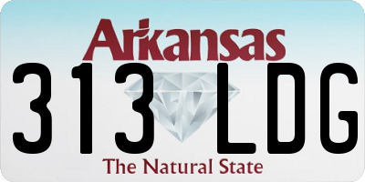 AR license plate 313LDG