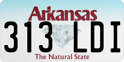 AR license plate 313LDI