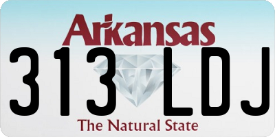 AR license plate 313LDJ