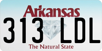 AR license plate 313LDL