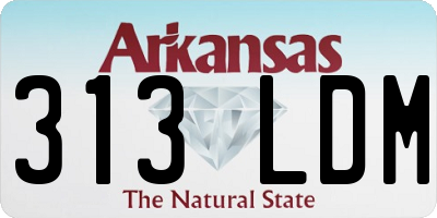 AR license plate 313LDM
