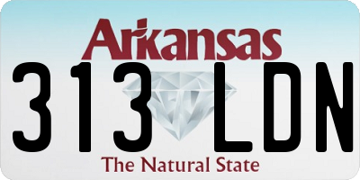 AR license plate 313LDN