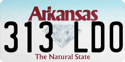 AR license plate 313LDO