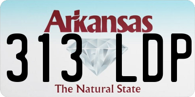 AR license plate 313LDP