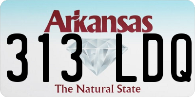 AR license plate 313LDQ