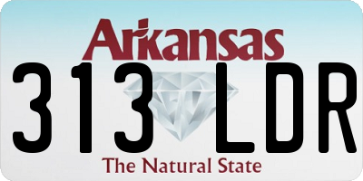 AR license plate 313LDR