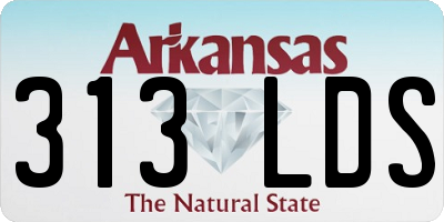 AR license plate 313LDS
