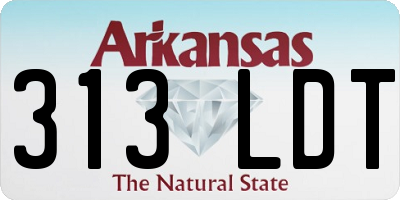 AR license plate 313LDT