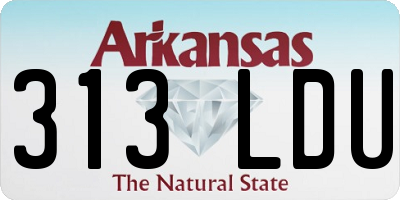 AR license plate 313LDU