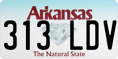 AR license plate 313LDV