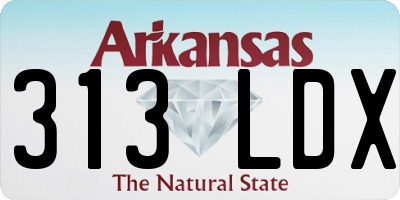 AR license plate 313LDX