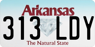 AR license plate 313LDY