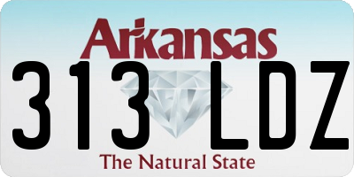AR license plate 313LDZ