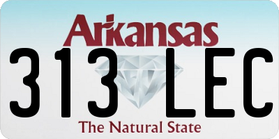 AR license plate 313LEC