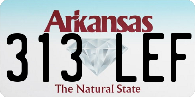 AR license plate 313LEF