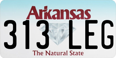 AR license plate 313LEG