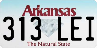 AR license plate 313LEI