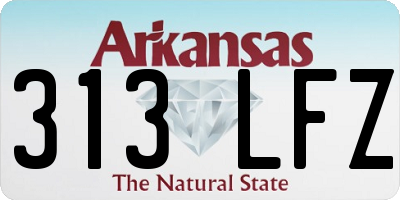 AR license plate 313LFZ