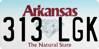 AR license plate 313LGK
