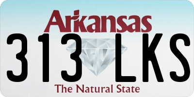 AR license plate 313LKS