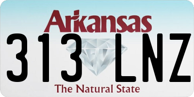 AR license plate 313LNZ
