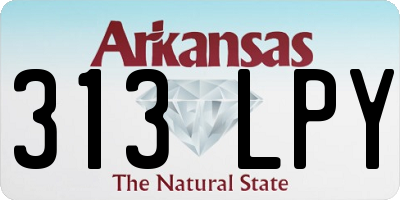 AR license plate 313LPY