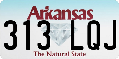 AR license plate 313LQJ