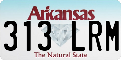AR license plate 313LRM