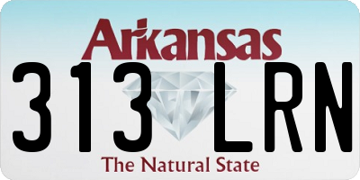 AR license plate 313LRN