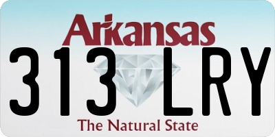 AR license plate 313LRY
